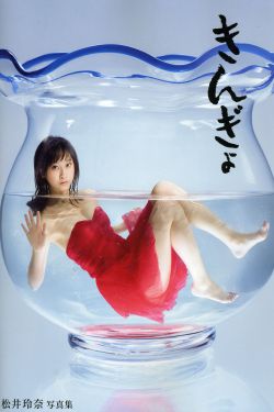 流金岁月全集40集